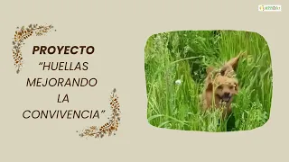 Departamento de Convivencia. IES Aricel. Albolote. Granada