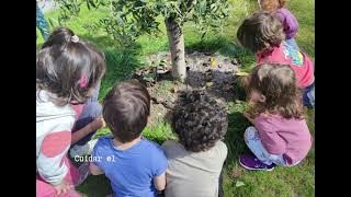Santander - CEIP Fuente de la Salud - Nuestro Patio