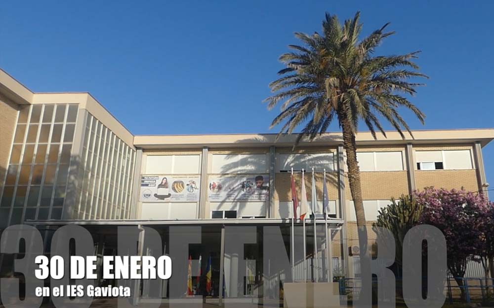 30-enero-gaviota