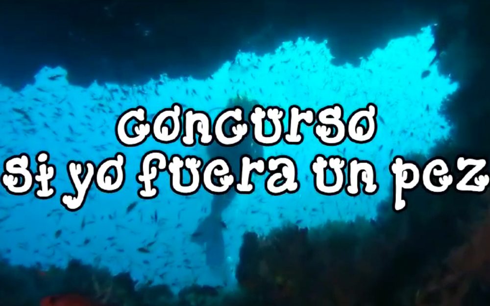 CEIP-San-Miguel.-Concurso-Pez.-Almunecar_