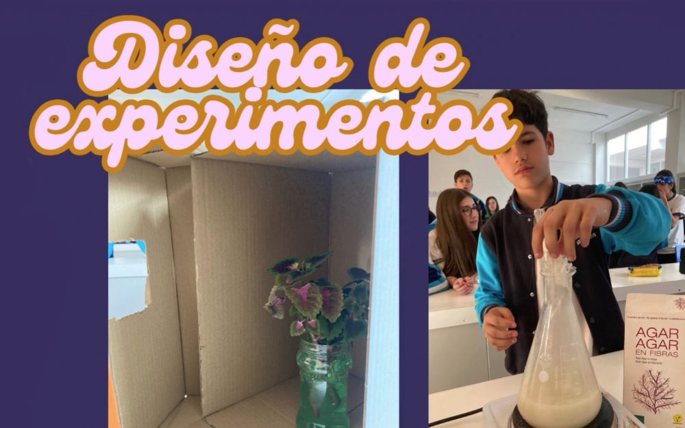 COLEGIO NARANJOS
