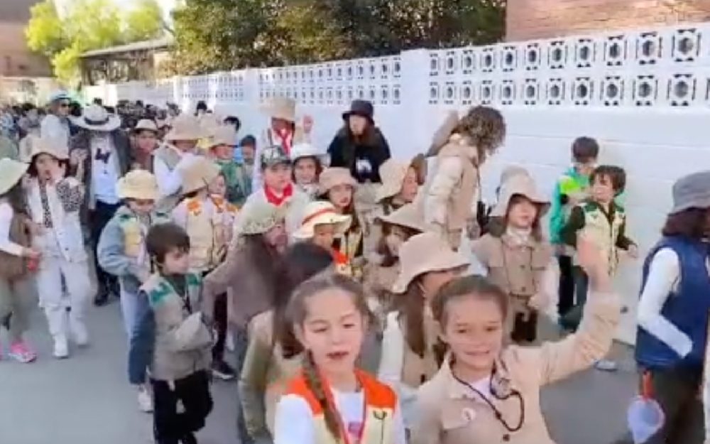 ceip las mimbres el dorado-100