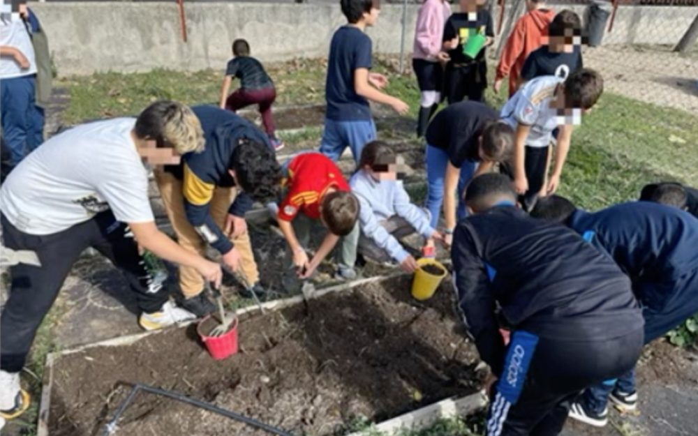 ceip velazquez
