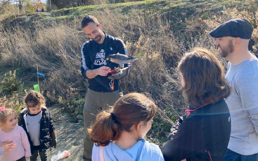 colegio calasanz- PORTADAS