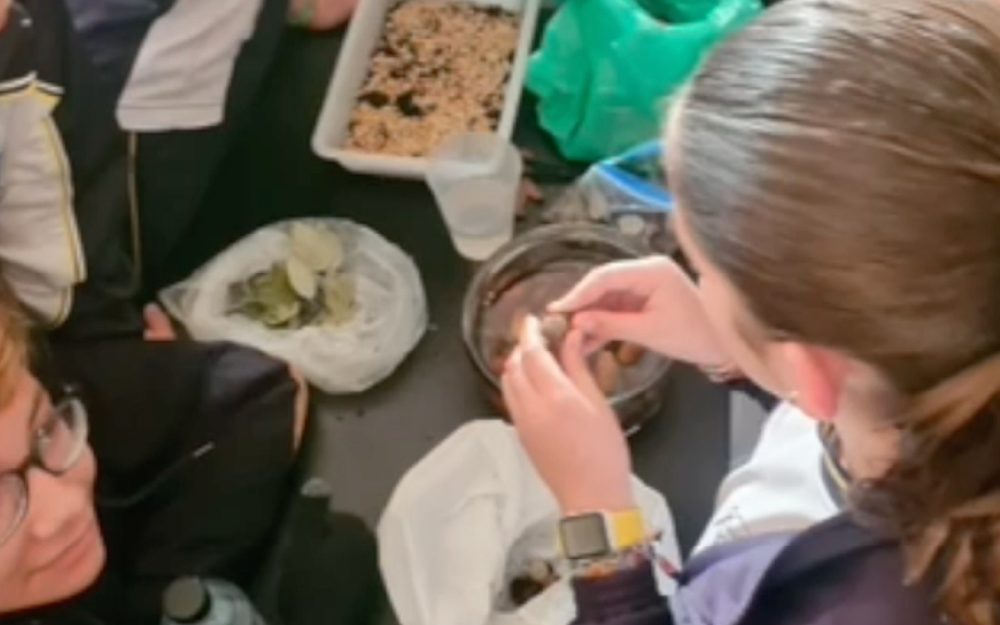 colegio stma trinidad plasencia-100