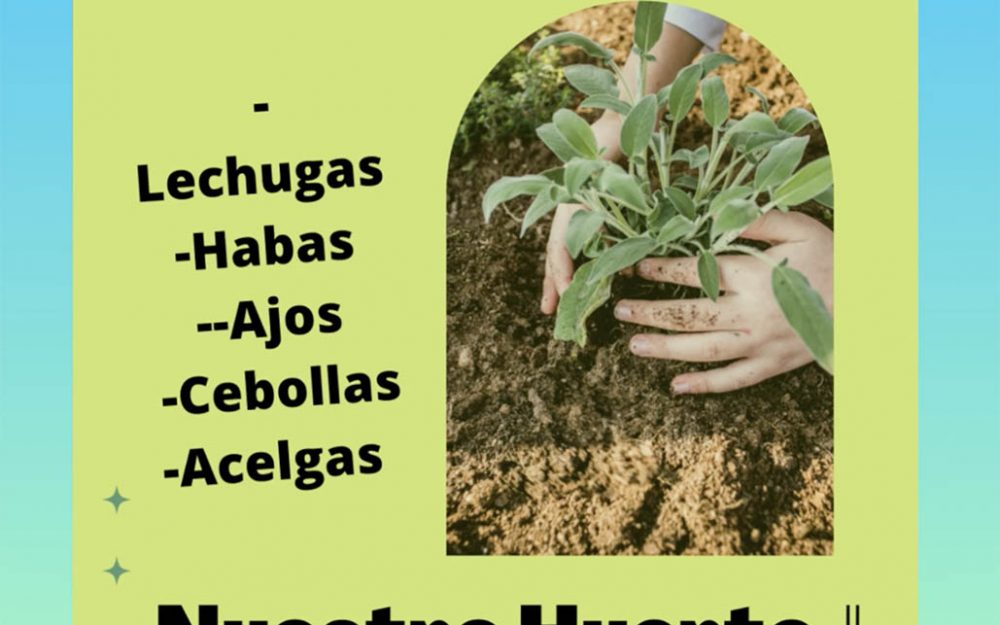 creando-vida-