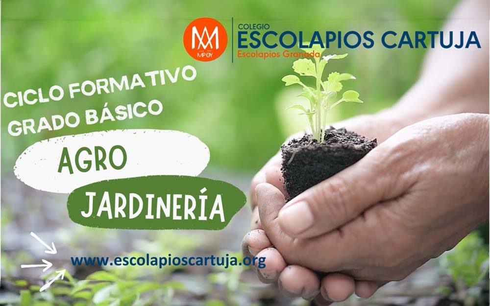 escolapios-la-cartuja