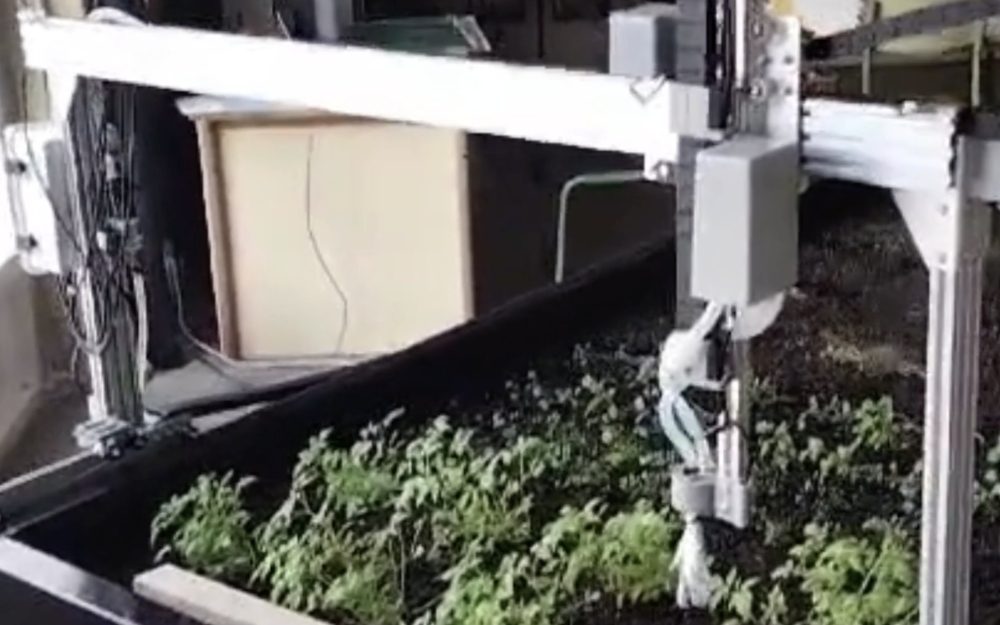 ies puig adam_huerto