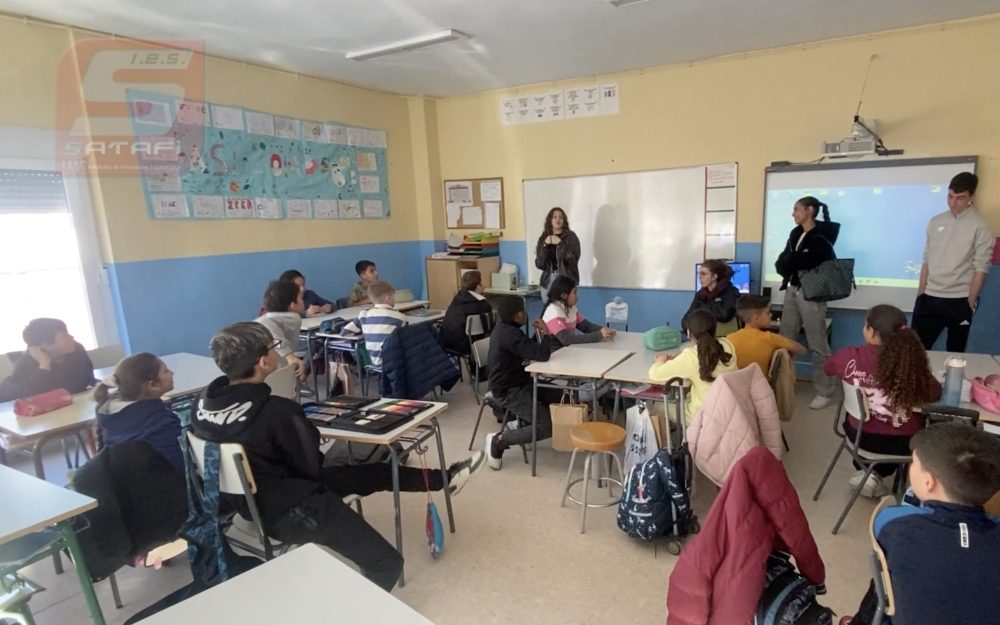 ies satafi voluntariado