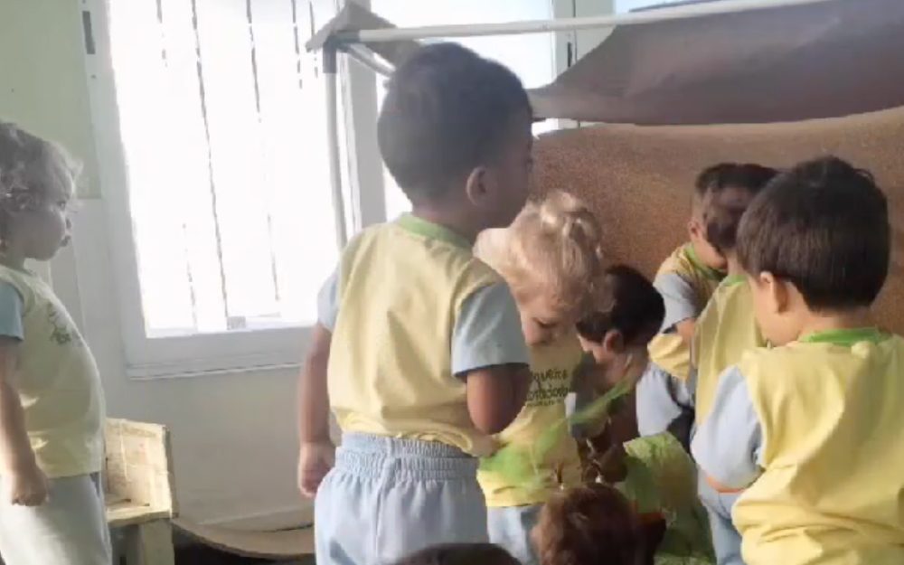 pequeños exploradores-100